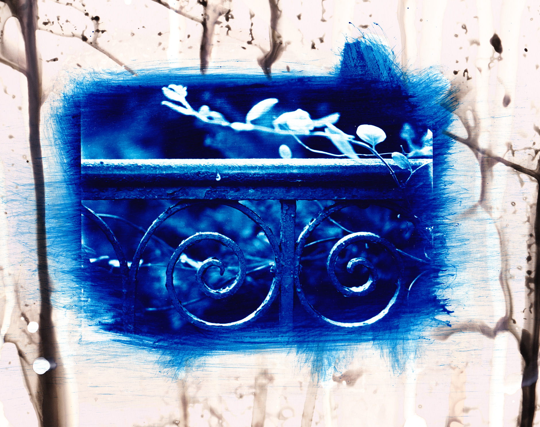 Cyanotype on photo paper image of a metal fence