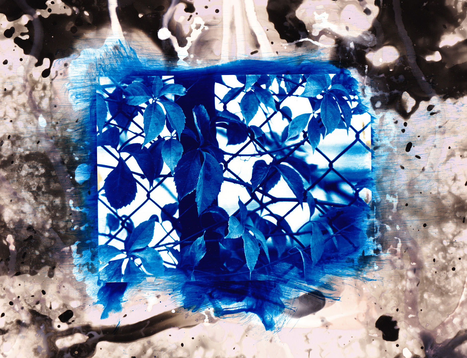 Cyanotype on paper image of a metal fence