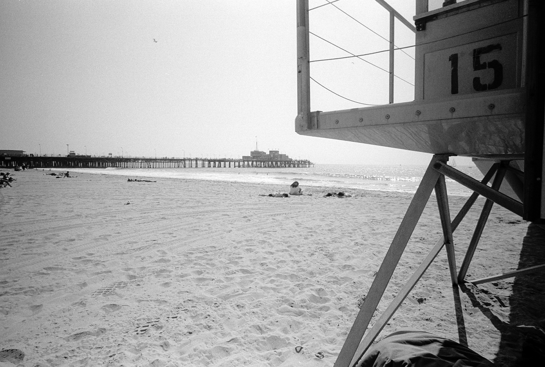 black and white image of santa monica beach