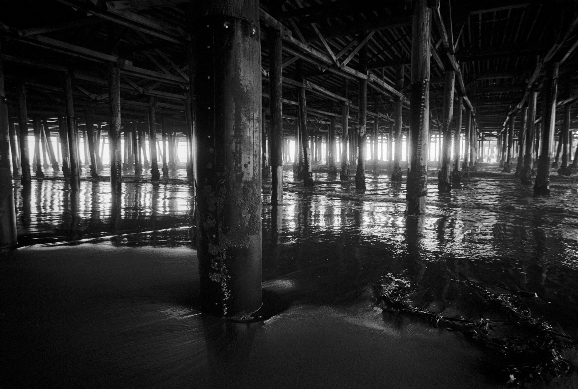 Black and white photo of wood pillars