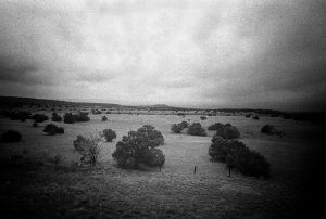 Photo taken through the train window in USA black and white landscape