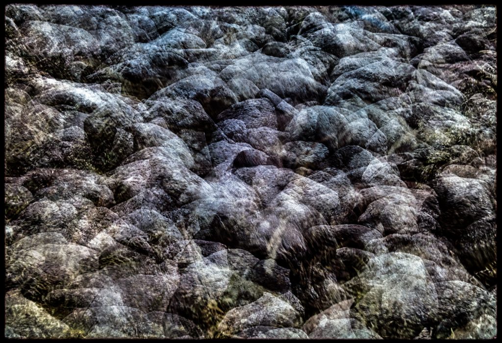 Stones and leaves in the woods