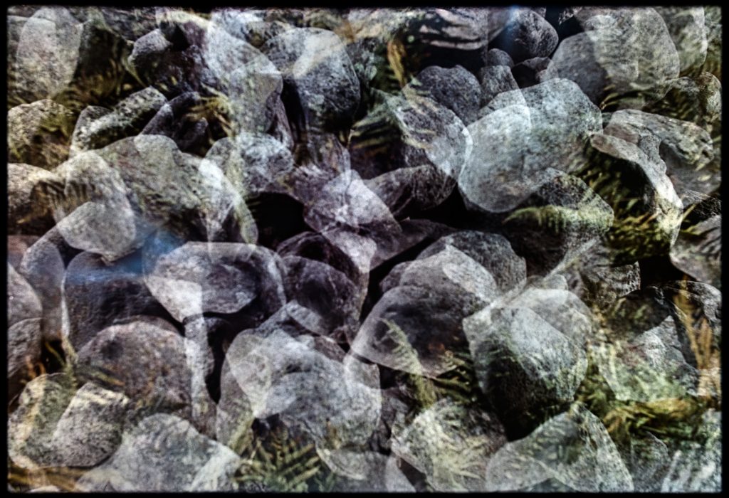 Multiple exposure of stones and leaves in the woods