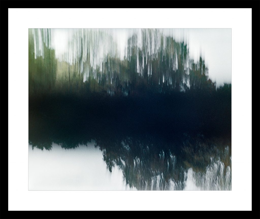 Trees double exposure abstract image with movement