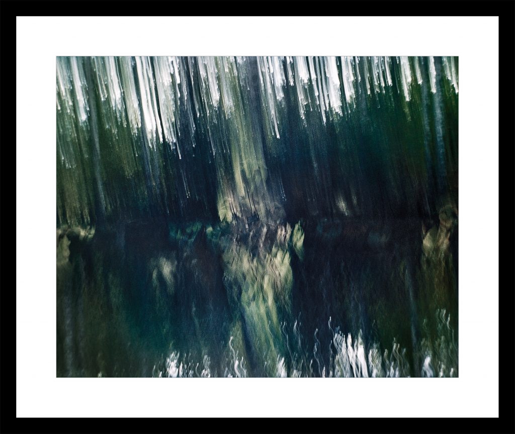 Trees double exposure abstract image with movement