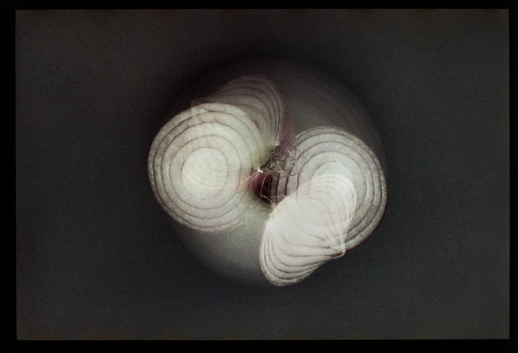 Onions double exposure abstract image