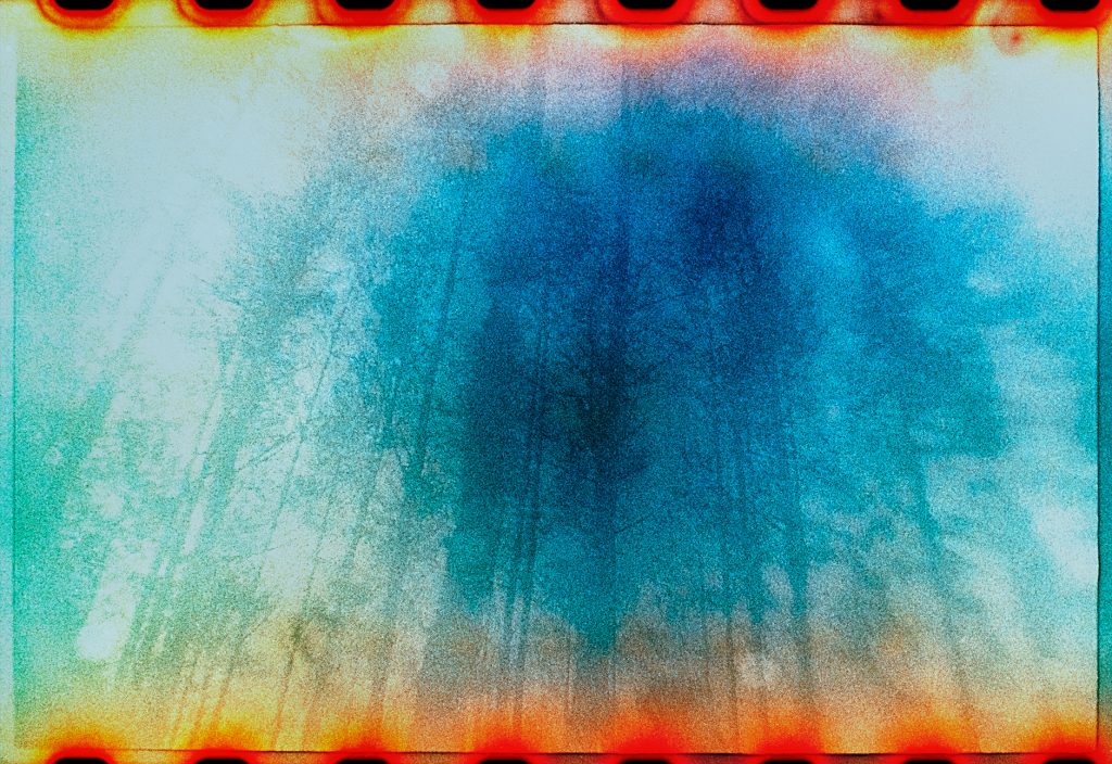 Abstract image of trees and leaves