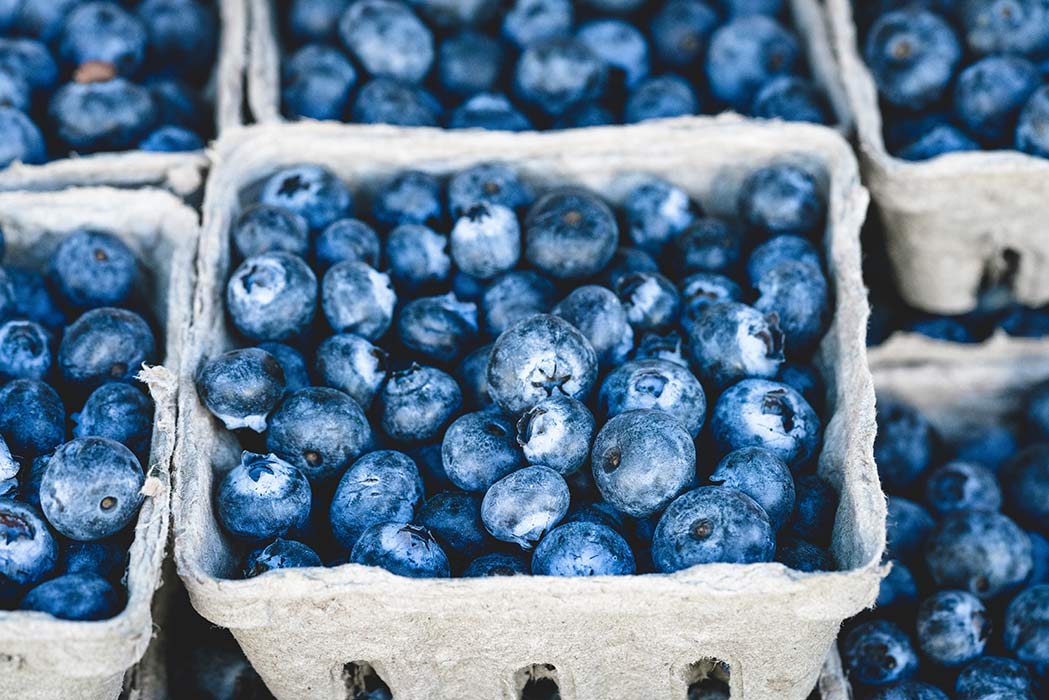 How Blueberries Can Improve Your Health